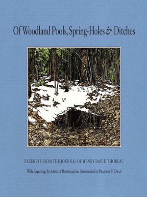 cover image of Of Woodland Pools, Spring-Holes and Ditches